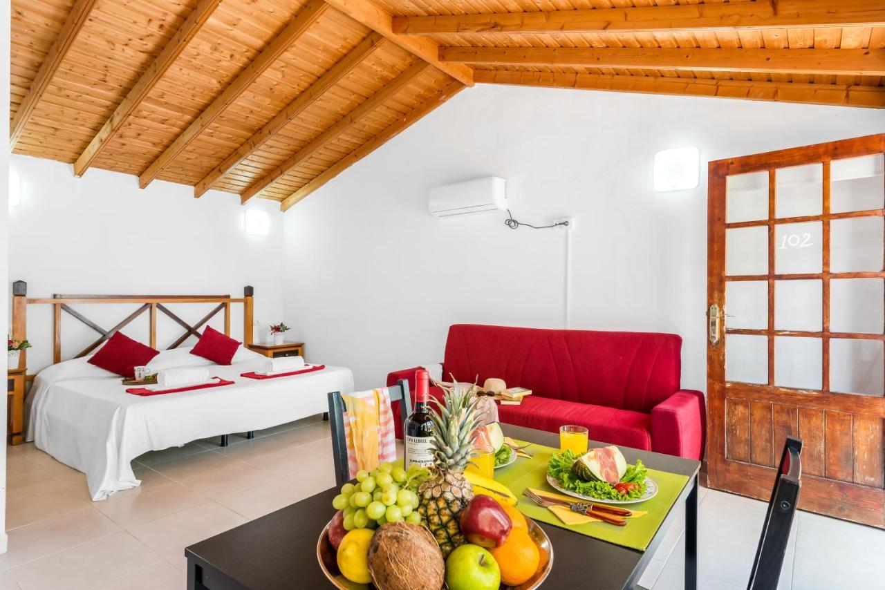 Апартаменти 101 Bright, Pool View And Air Conditioning Плайя-де-лас-Амерікас Екстер'єр фото
